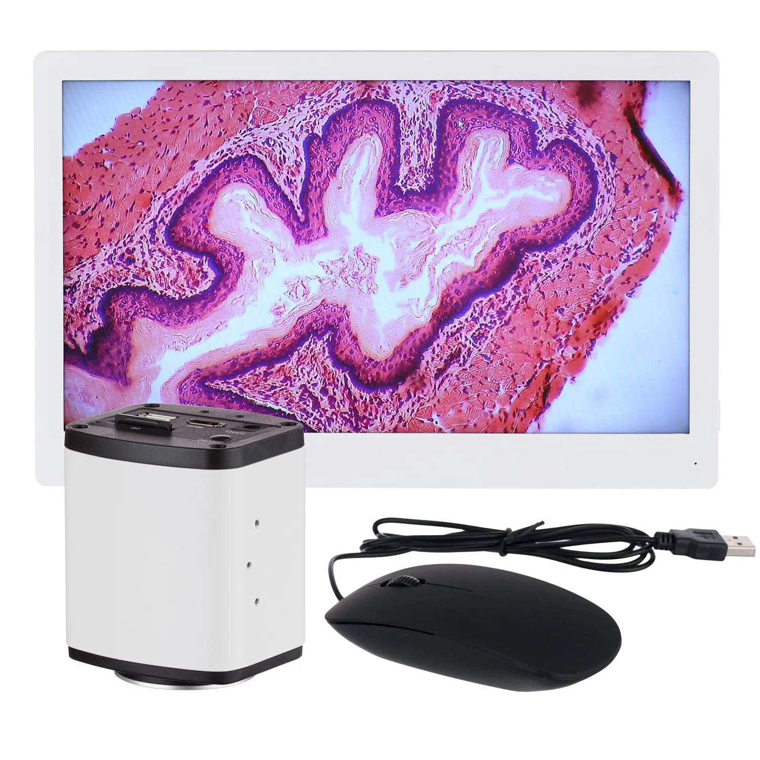 AmScope HD Series 1080p 15fps 5.0MP HDMI Color CMOS C-mount Microscope Camera with Monitor for Stand-alone and PC Imaging