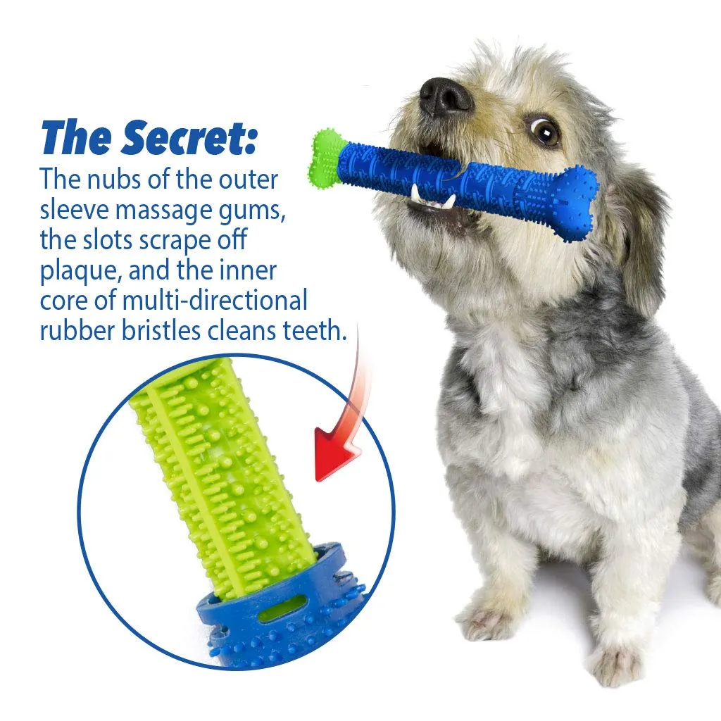 Chewbrush Dog Toothbrush Toy