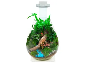 Chihiros- Magnetic Terrarium Light Base Glass Pot