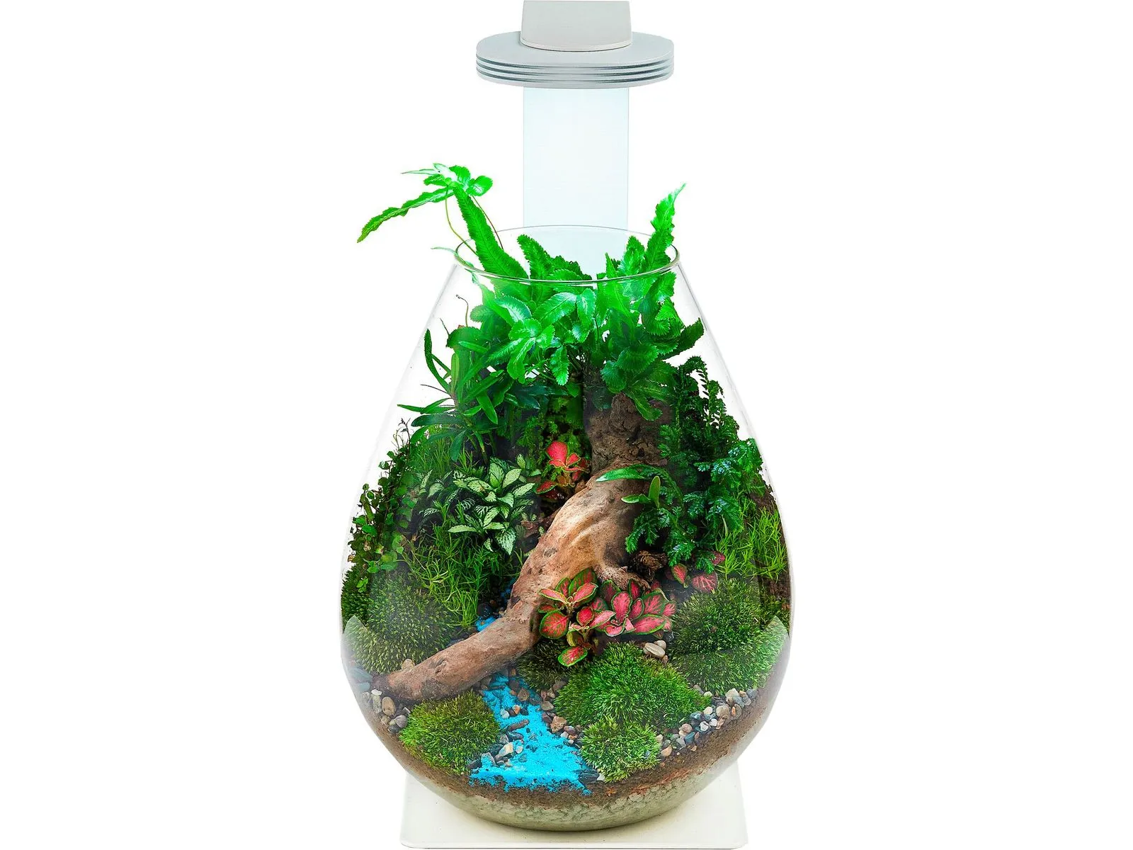 Chihiros- Magnetic Terrarium Light Base Glass Pot