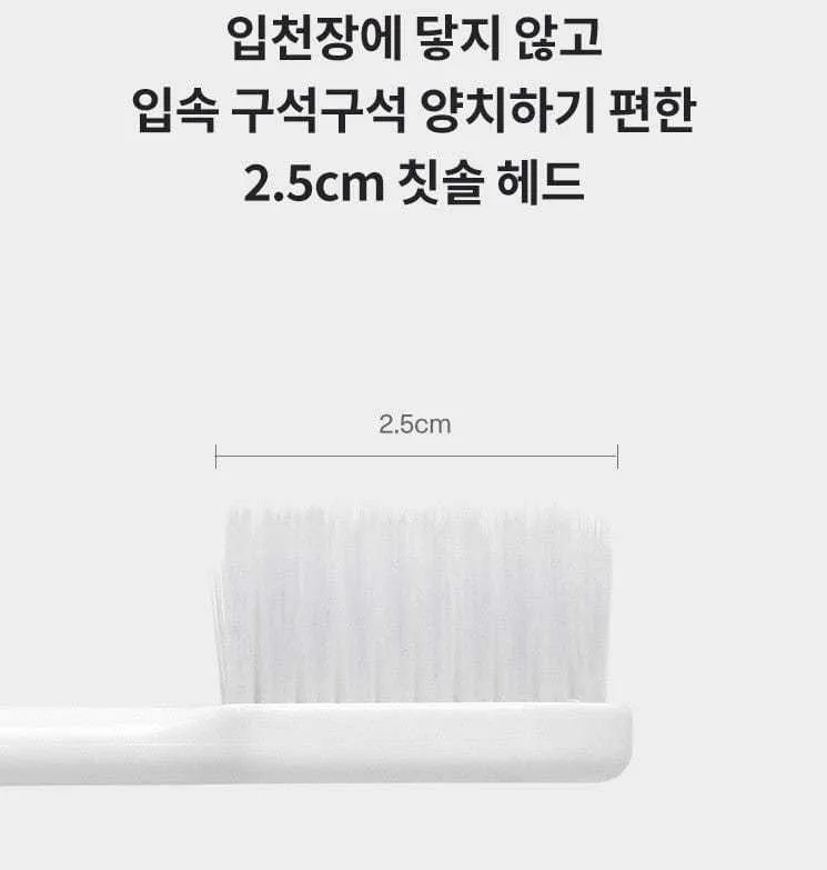 Ister14 Dual Fine Toothbrushes 20pcs sets