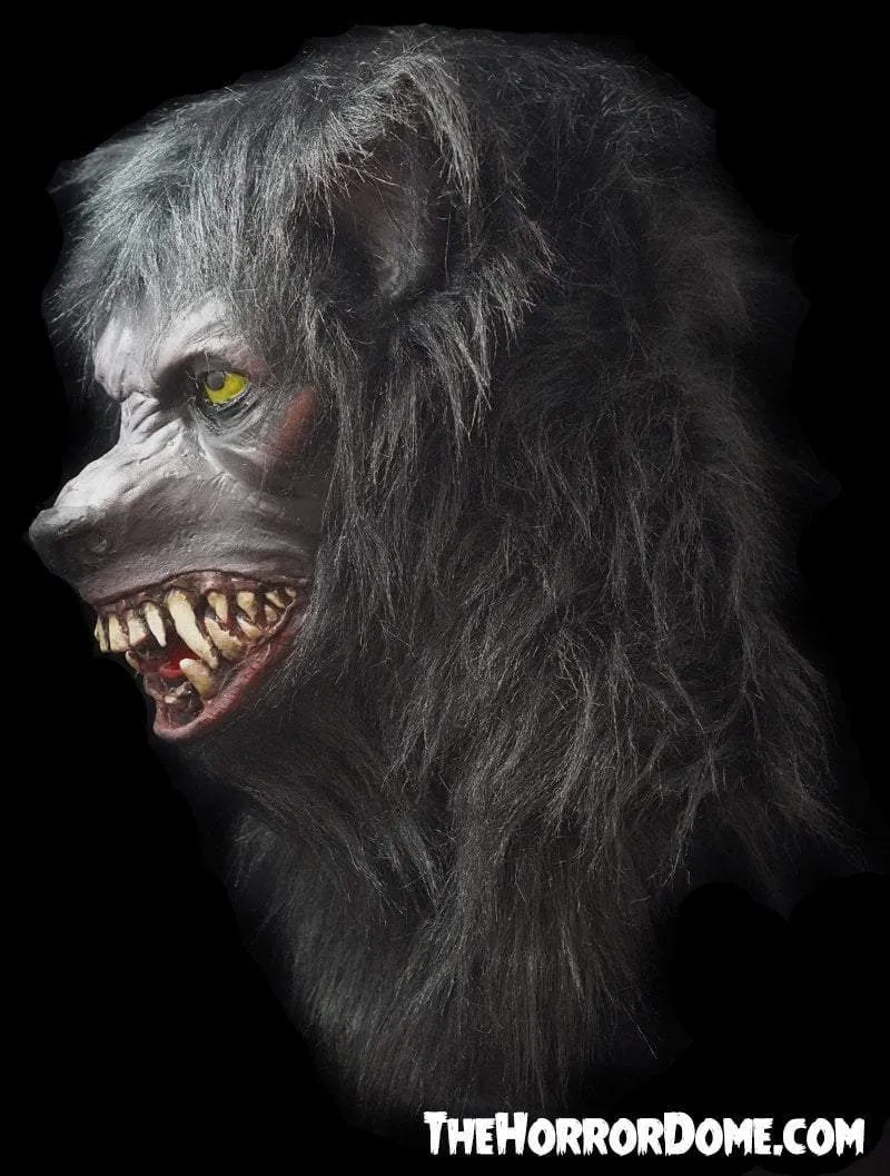 "Lycanthrope" HD Comfort Werewolf Mask