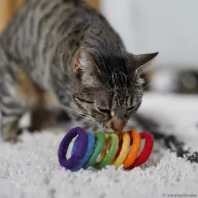 Rainbow Spring Cat Toy