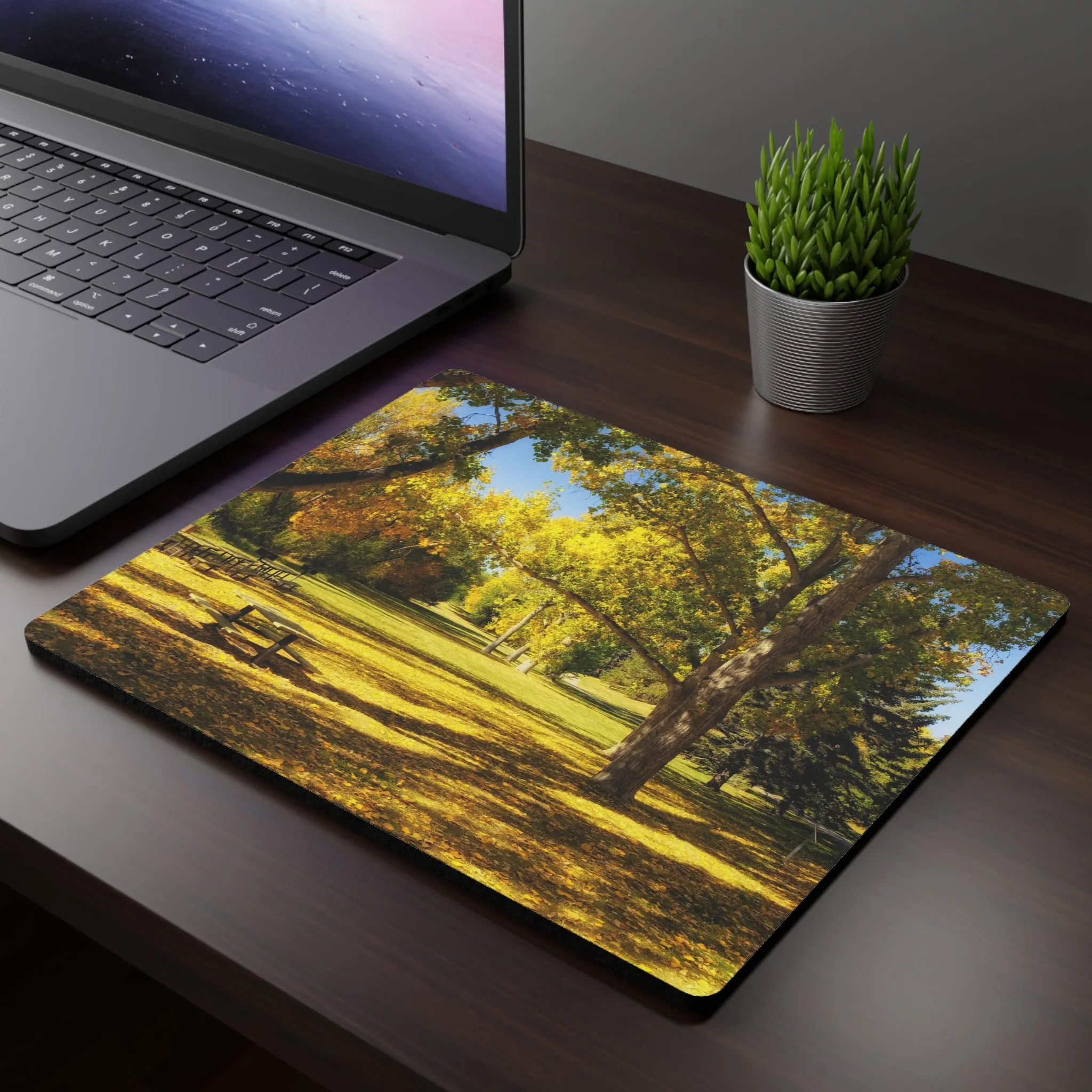 Rectangular Mouse Pad - Confederation Park Fall